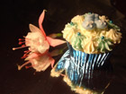 Vanilla Cupcakes