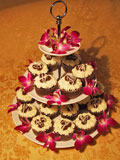 Double Choc Delight